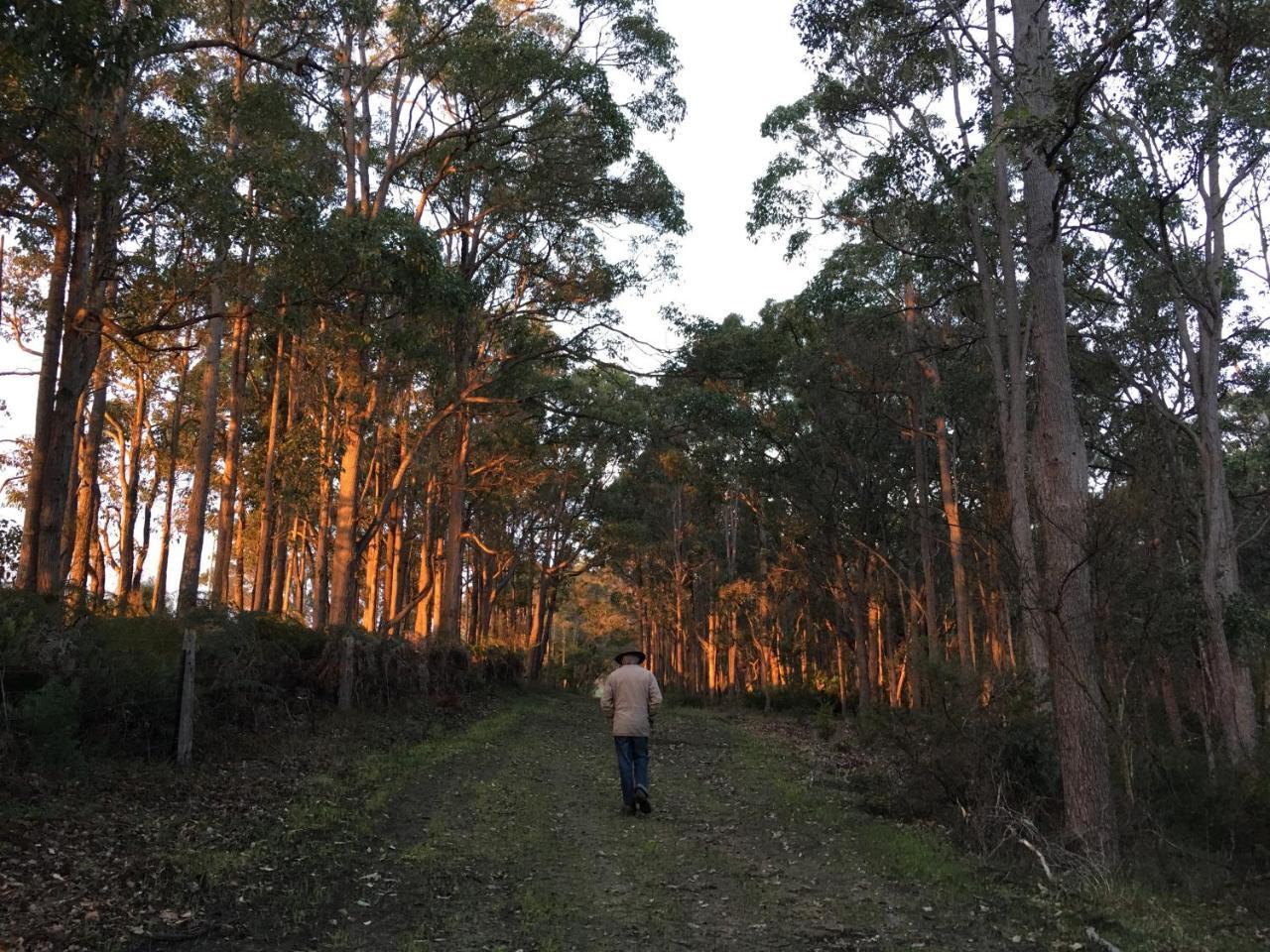 Margaret River Farmhouse Rosa Glen Экстерьер фото