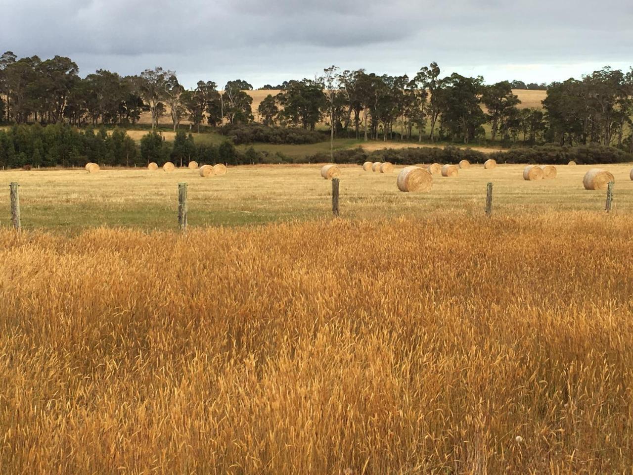 Margaret River Farmhouse Rosa Glen Экстерьер фото