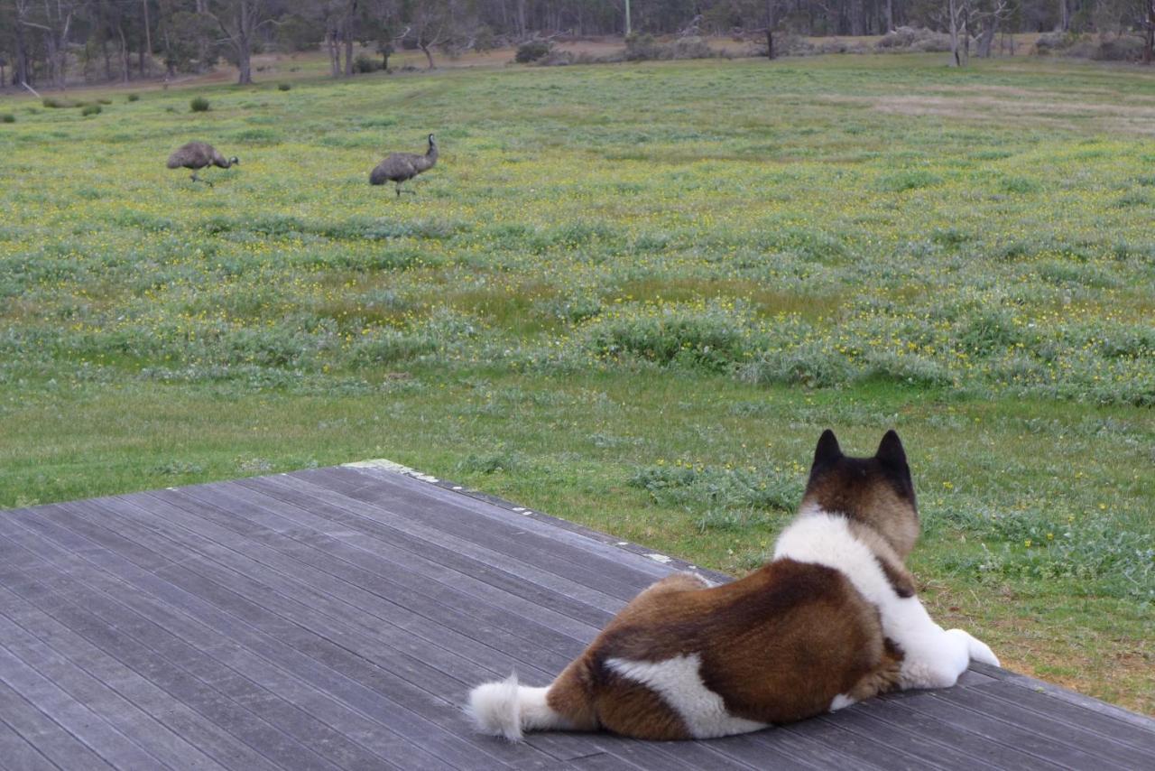 Margaret River Farmhouse Rosa Glen Экстерьер фото