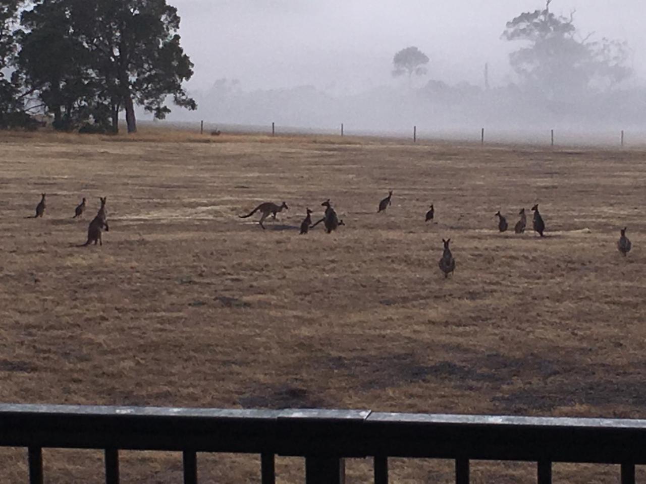 Margaret River Farmhouse Rosa Glen Экстерьер фото