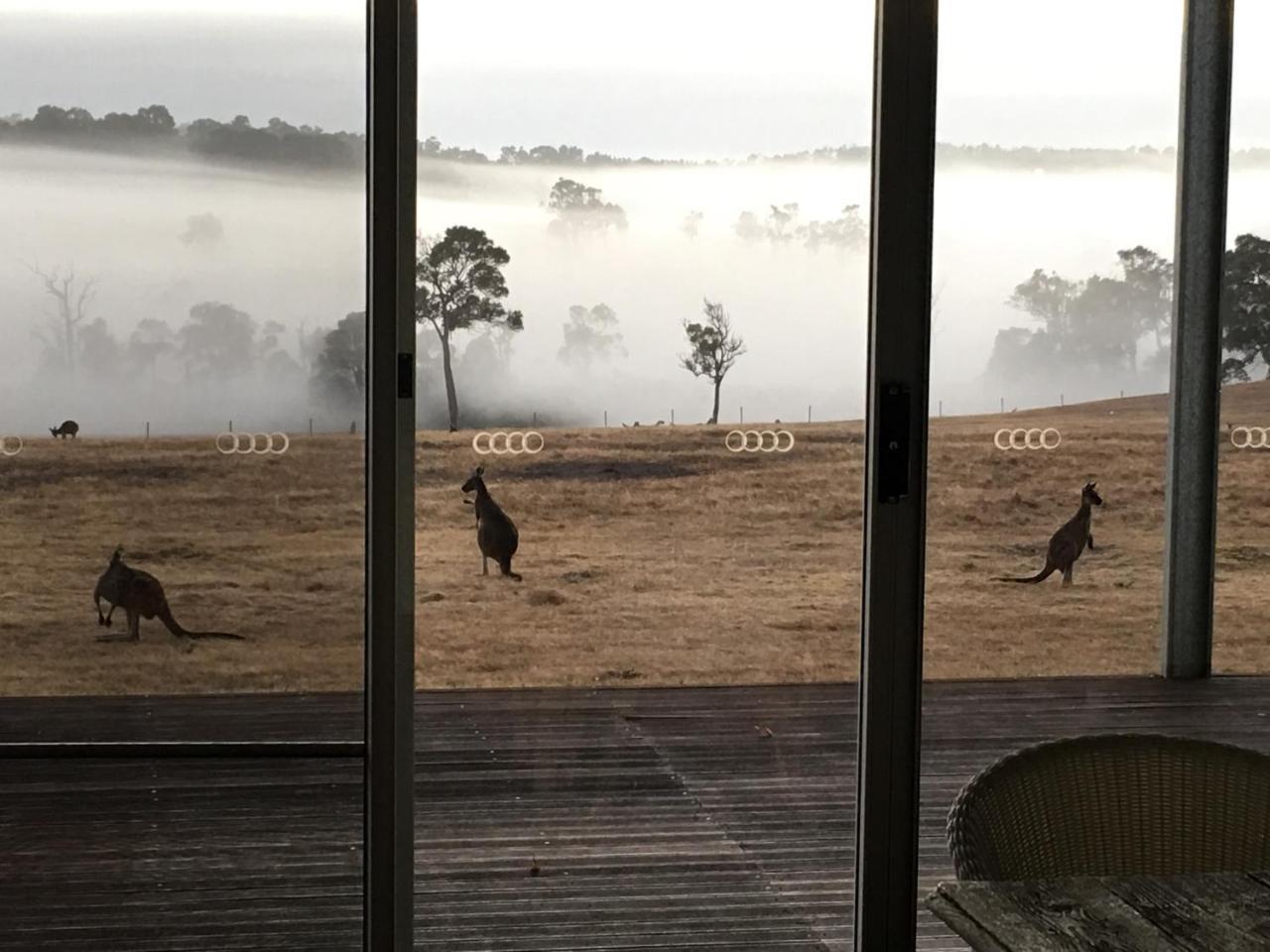 Margaret River Farmhouse Rosa Glen Экстерьер фото